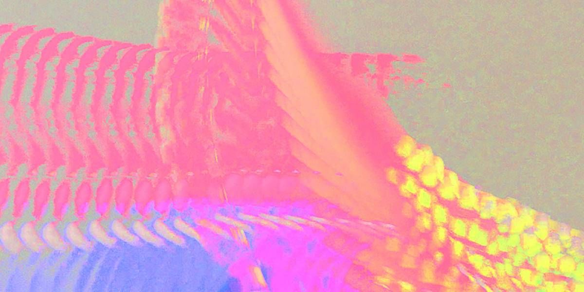 Area communication img sito header