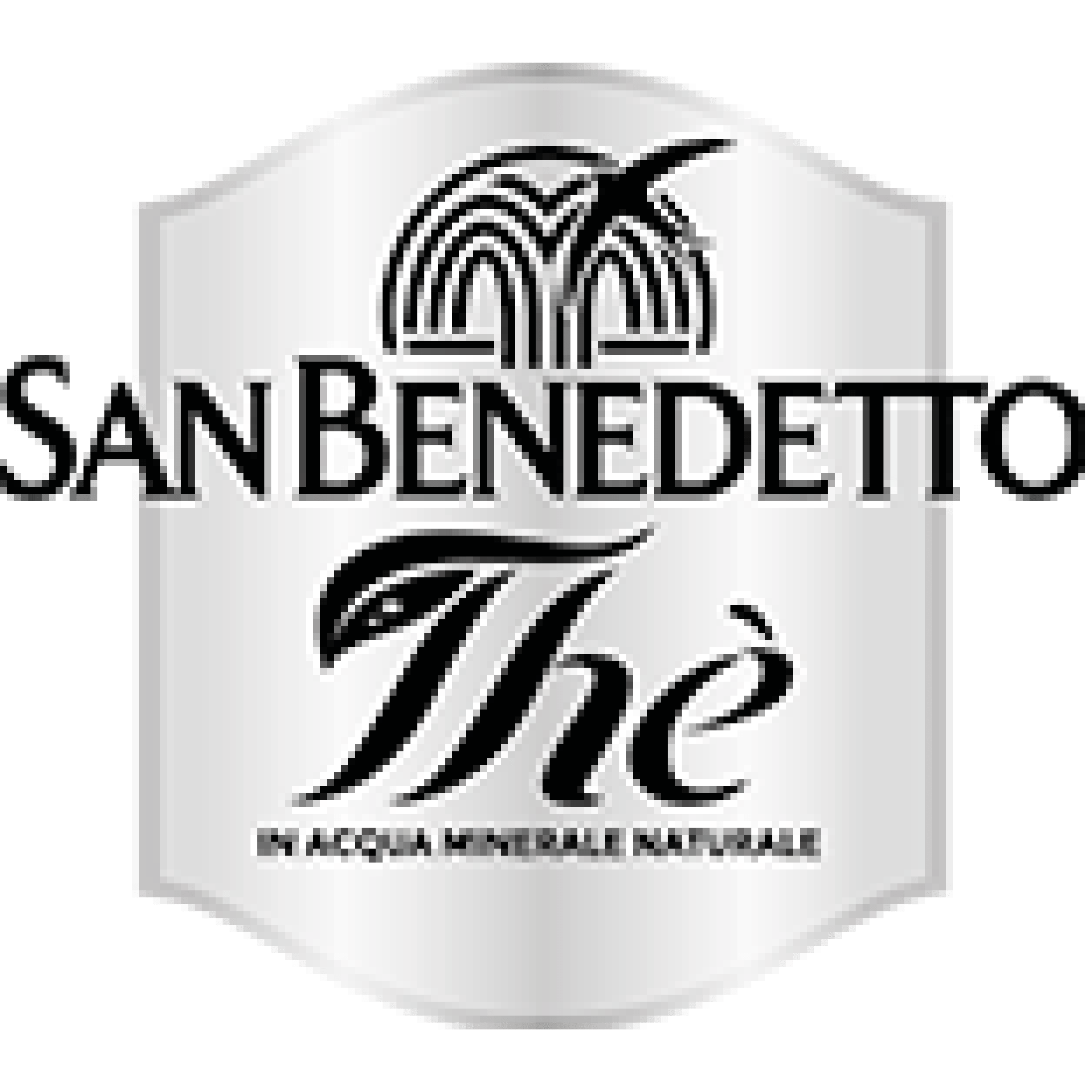 Logo San Benedetto Th��