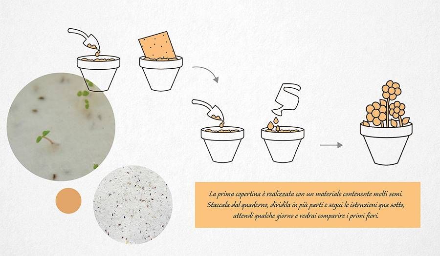 11020301 Pigna Flower