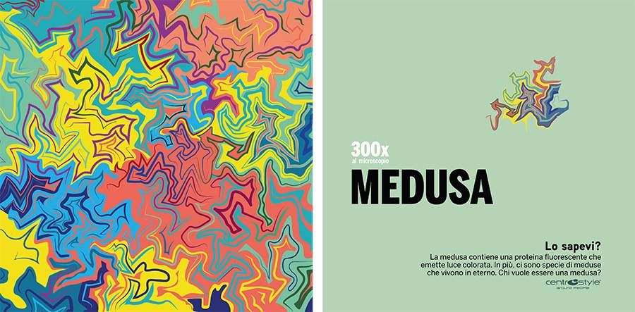 12020201 Lo sapevi che..