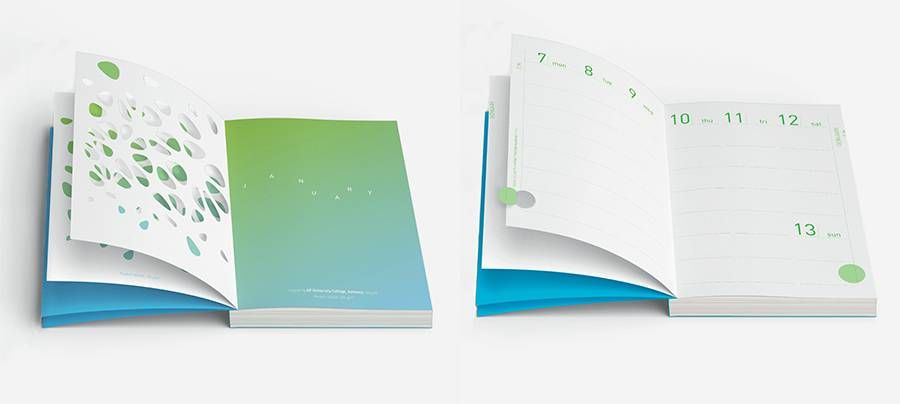 19020202 Beyond the shape