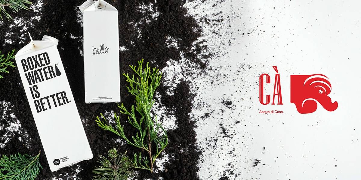 1 Ca��   Copy (2)