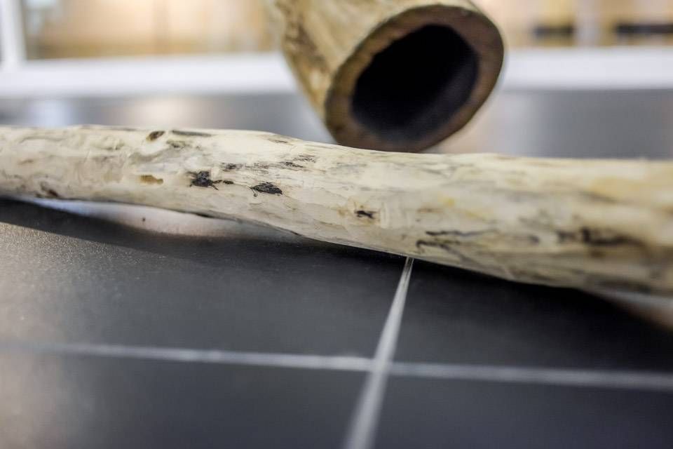 49020202 Pilon Dibwa