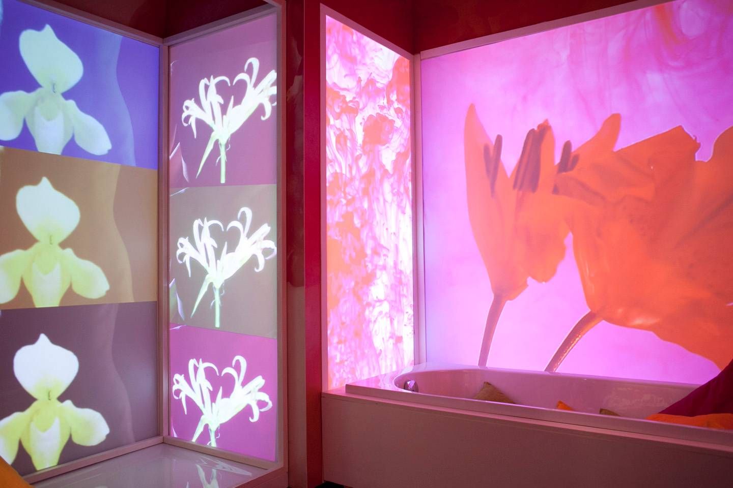 500507 the final exhibition