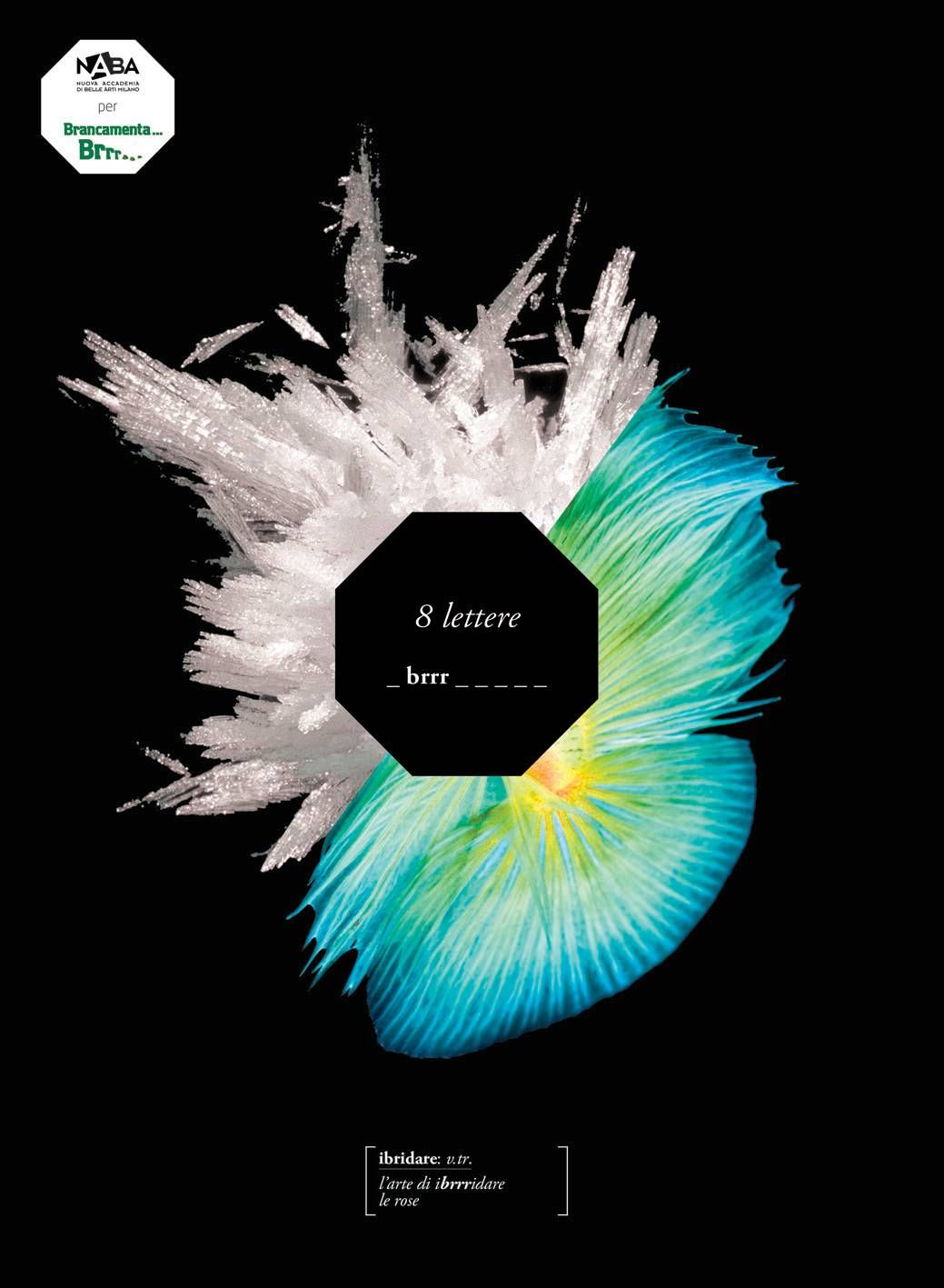 6206 brancamenta ibridare