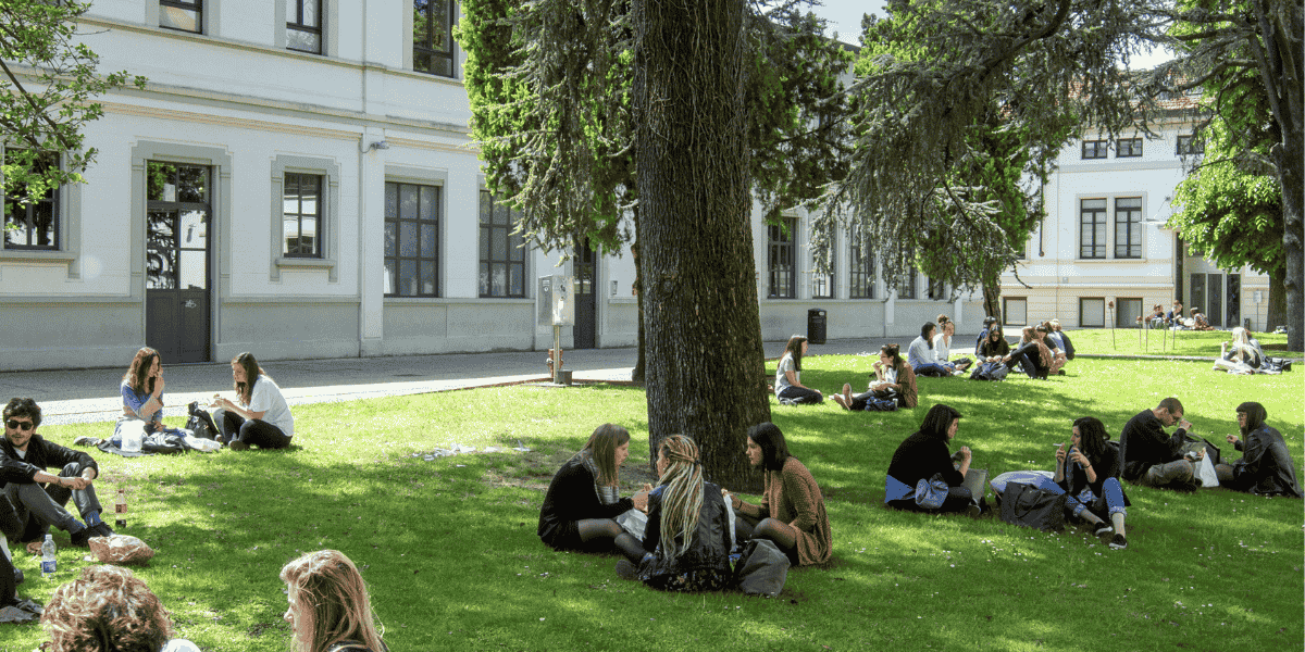 chiedere supporto naba faq