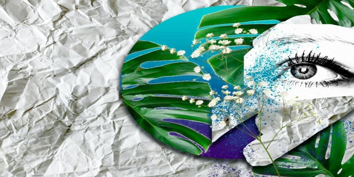 polly t sW3IugD1I5o unsplash (2)