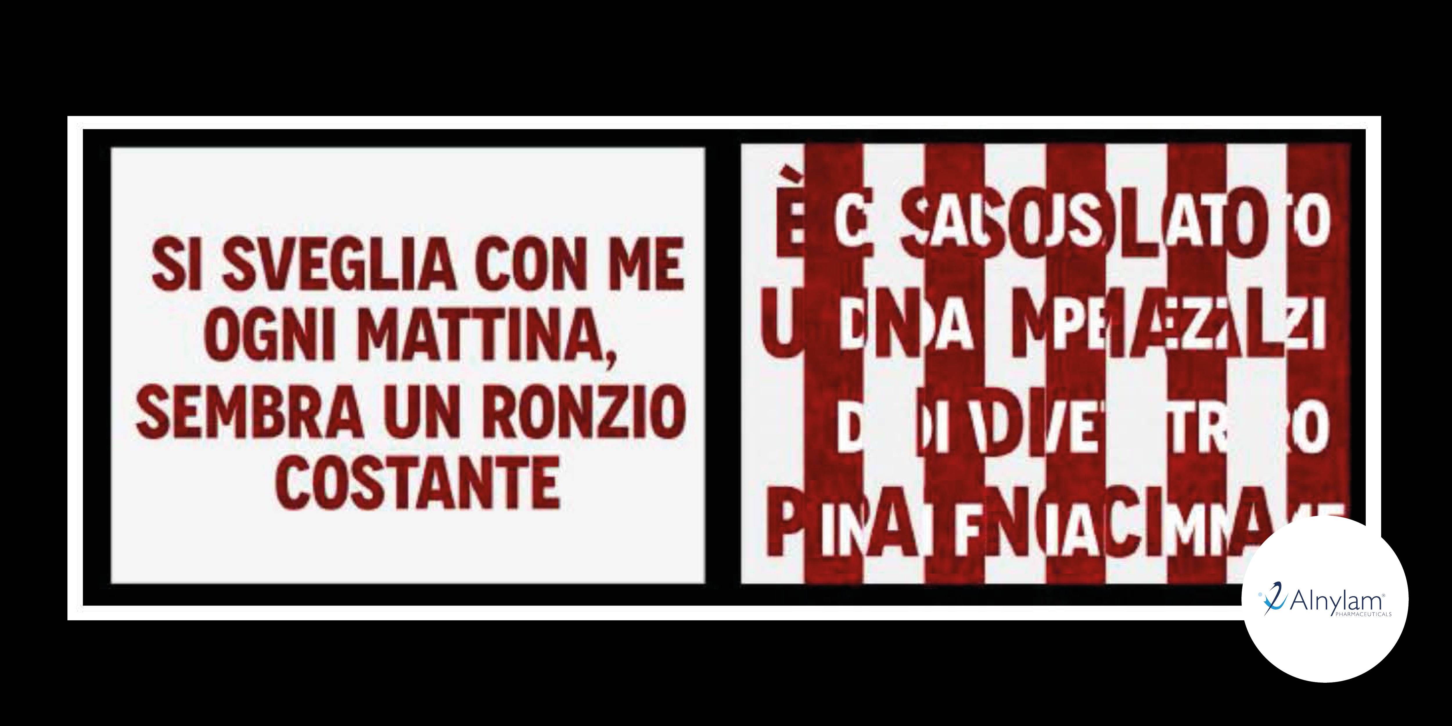 Header Beyond the Visible 2